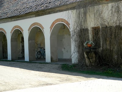 Photos of Ērberģes muiža