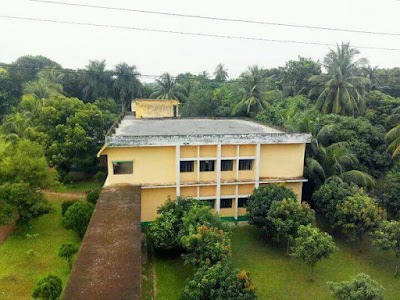 university