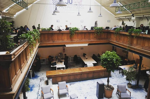 D-Plantes / Location de plantes pour bureaux / Paris - Thumbnail
