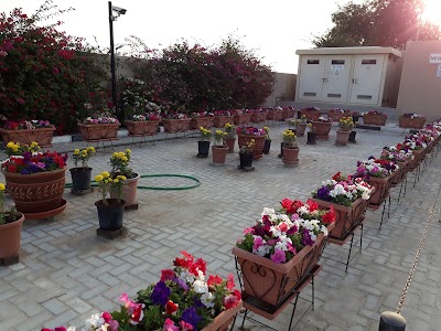 Photos of New Sonapur Cemetery
