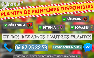 Photo n°9 de Horticulture MONCHANY à Issigeac (Fleuriste)