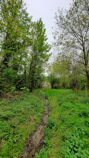 Les Bords de l'Yerres - Thumbnail