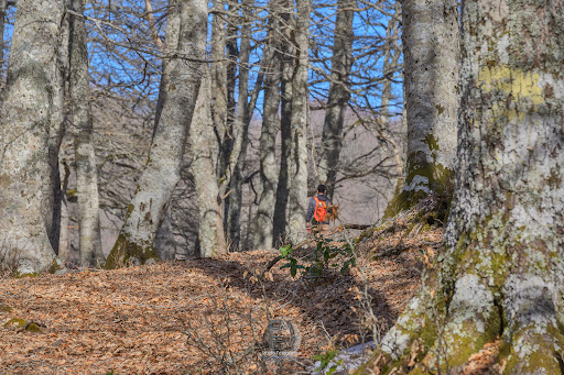 Le Scalette - Percorso Trekking Marsico Nuovo - Thumbnail