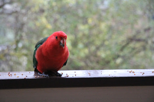 Goughs Bay Caravan Park - Thumbnail