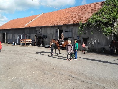 Photos of Zigmo Žirgai