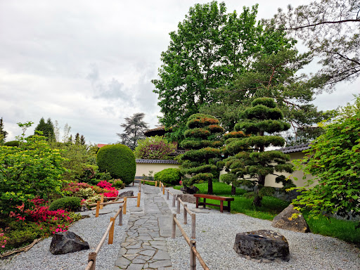 Japanischer Garten im Blühenden Barock - Thumbnail