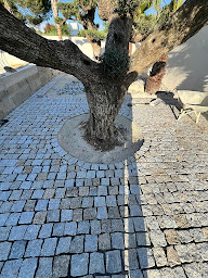 Photo n°13 de generation batiment à Carnoules (Entreprise de construction)