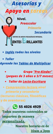 Centro de Apoyo Pedagógico Integral Mentes Brillantes - Thumbnail