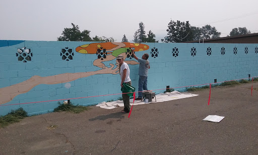 Hayfork Pool - Thumbnail
