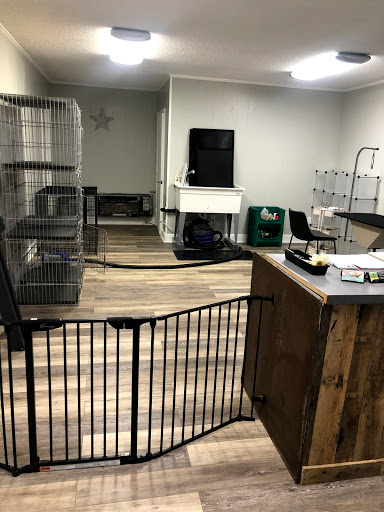 Dog Wash On Main Gallery - United States