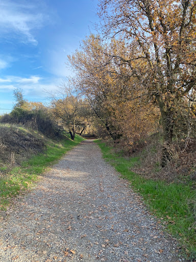 Putah Creek Riparian Reserve - Thumbnail