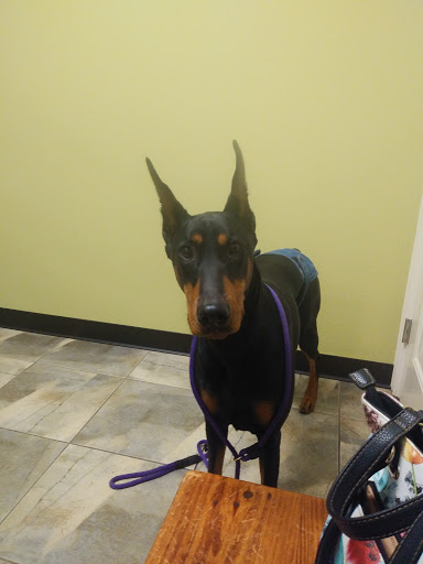 Lyon Veterinary Hospital - Thumbnail