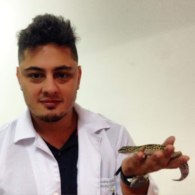 Photos of Veterinary Office Birds & Cia / NIAAS