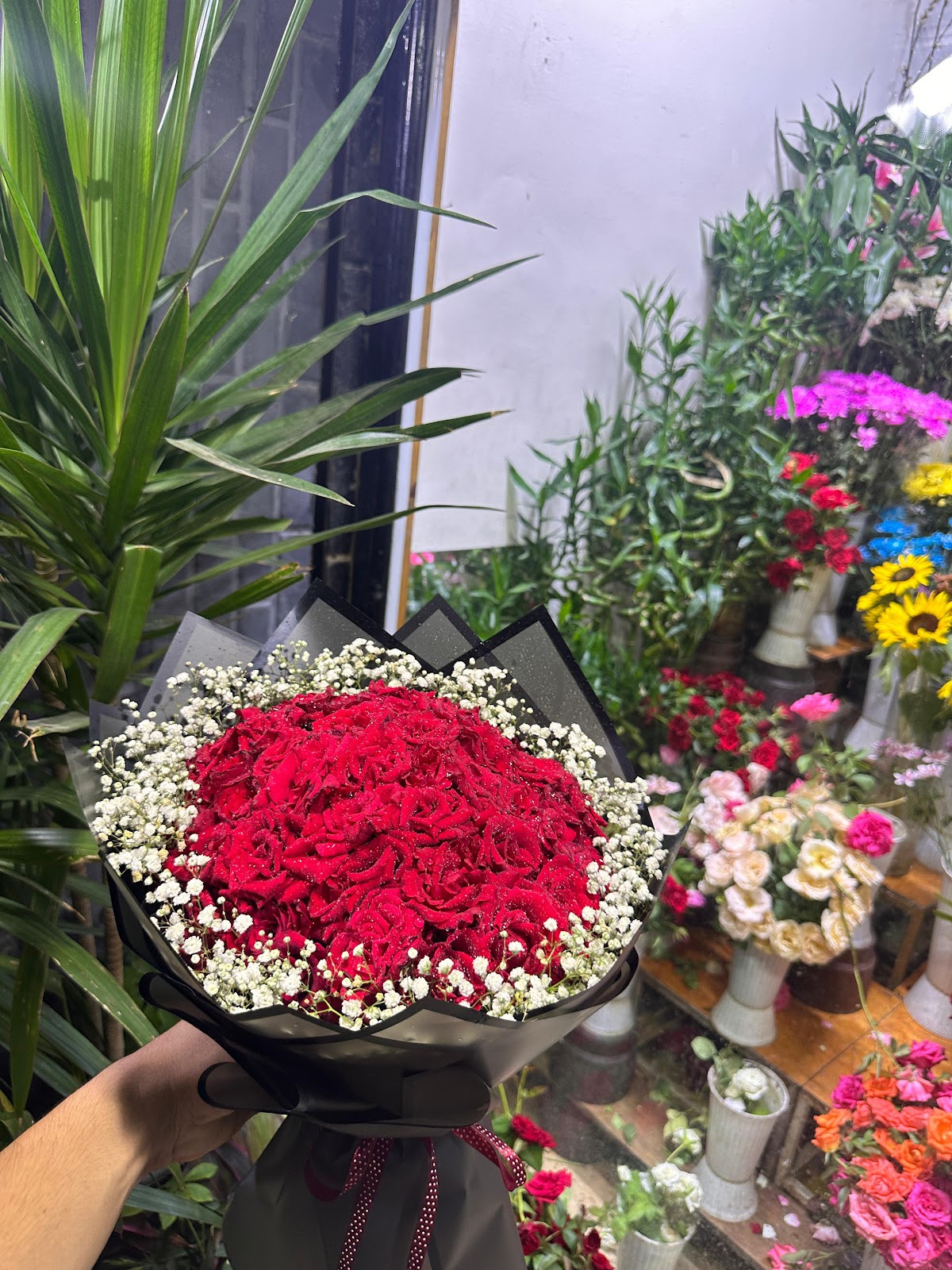 Green House - صورة 2