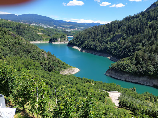 Punto Panoramico sul Lago di Santa Giustina