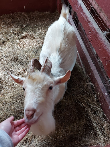 Lester's Farm Chalet - Thumbnail