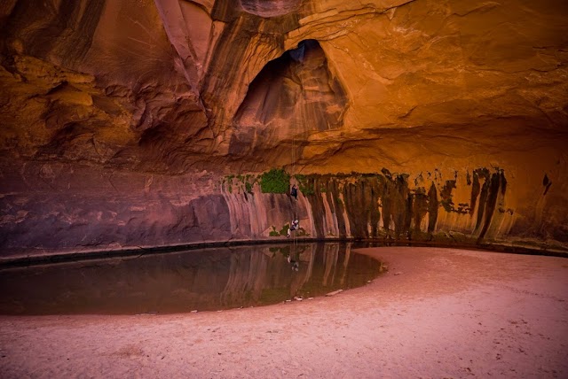Golden Cathedral, Neon Canyon