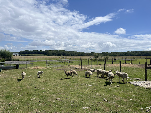 Brook Farm Glamping - Thumbnail