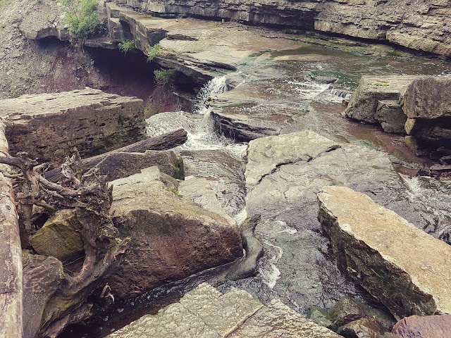 Chedoke Falls