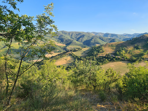 Borgo Basino - Visual