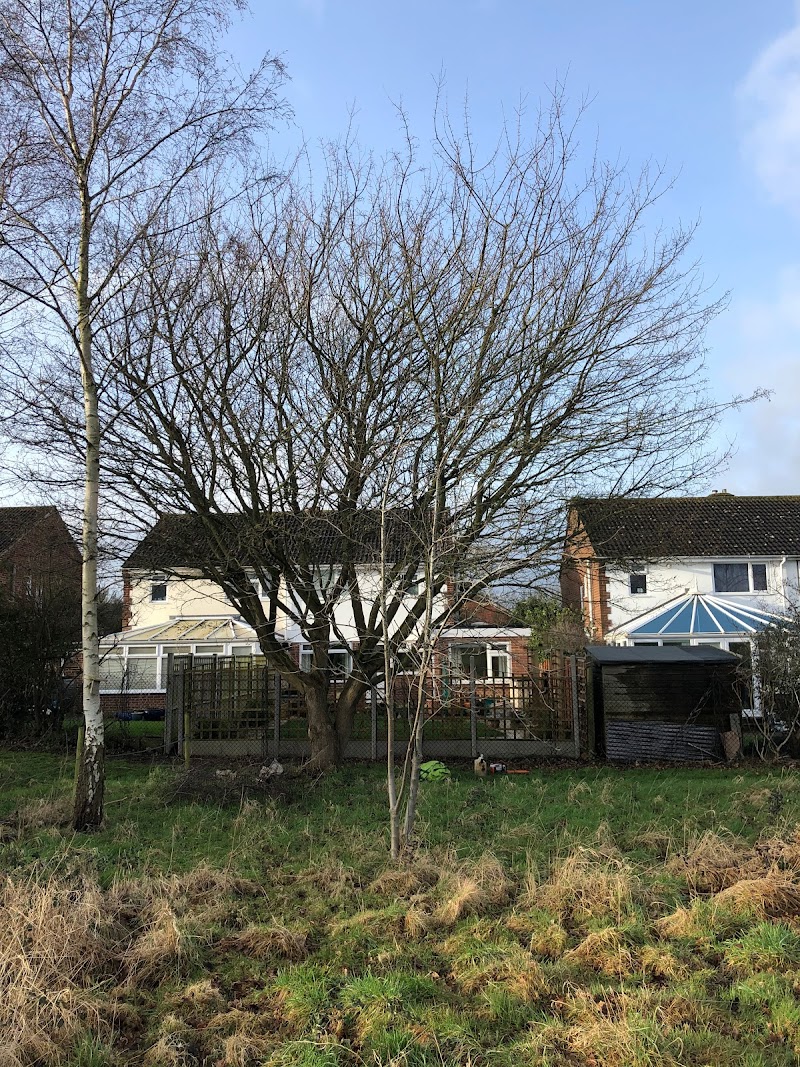 Greenfields Ltd photo 2