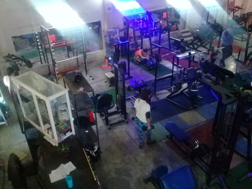 OSO'S GYM TEJOCOTE - Thumbnail