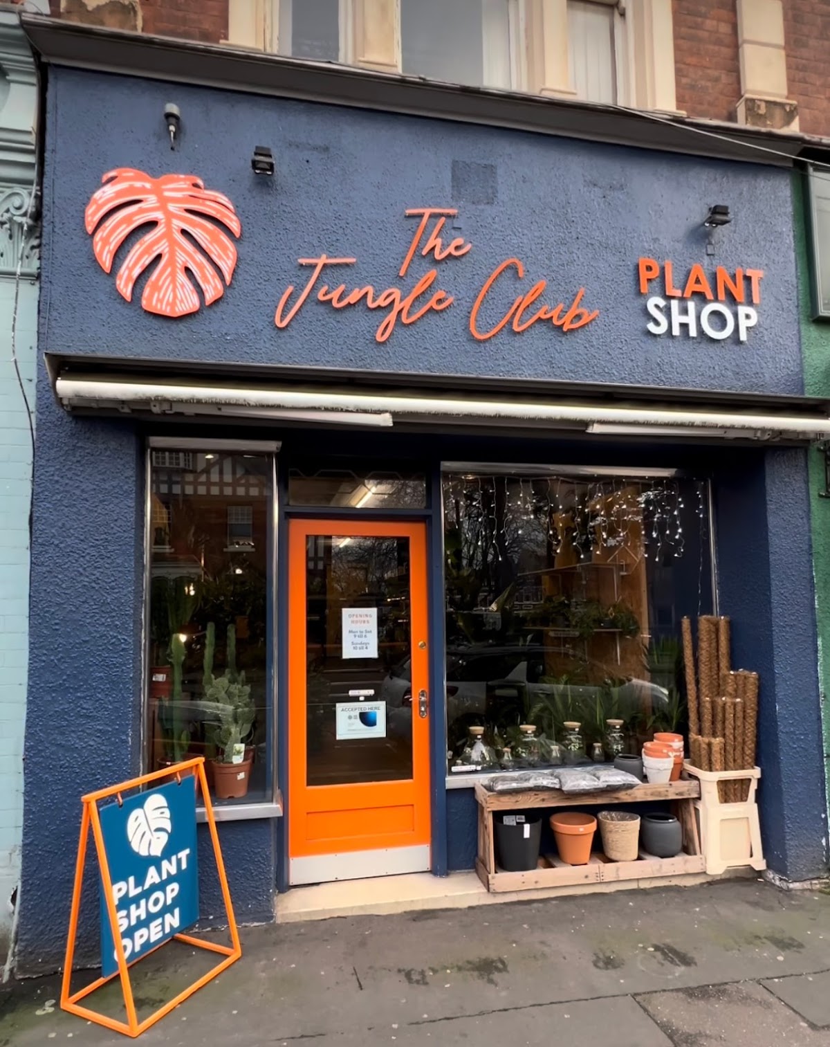 The Jungle Club Plant Shop