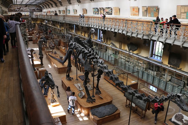 Muséum national d'Histoire naturelle