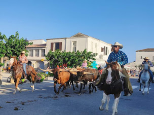 Photo n°6 de Jordan's Roping Association à Saint-Martin-de-Crau (Centre de randonnée équestre)