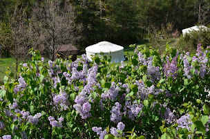 Photo n°10 de Destination Ailleurs à Castellane (Spa en extérieur)