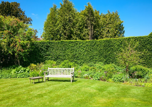Photo de Services Paysage - Eckhardt Origan