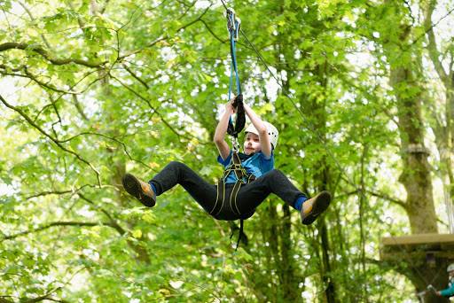 Raven Tree Top Adventure Logo