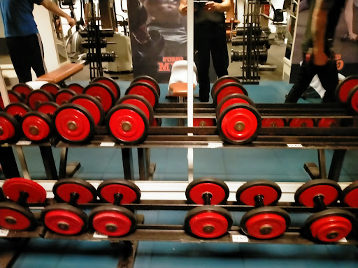 Greg's Gym - Thumbnail