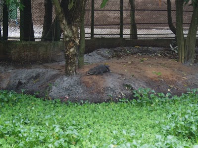 Photos of Hotel du Parc