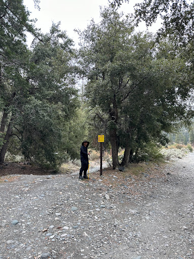 Yellow Post 1, Cold Camp - Thumbnail