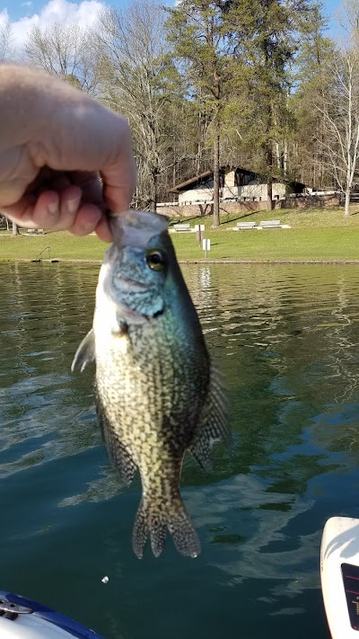 Photos of Lake Russell Campground