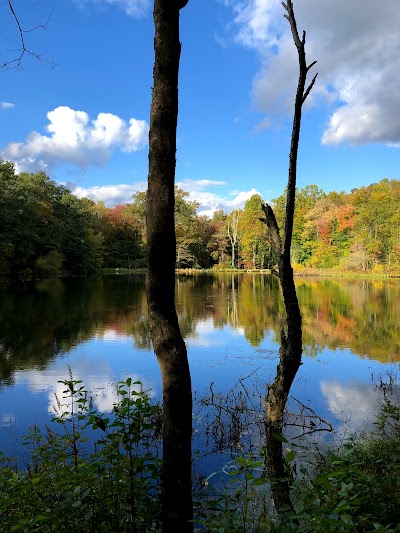 Weir Pond