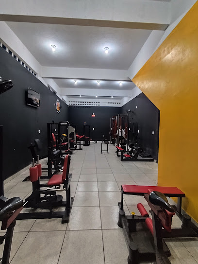 Academia Iron Man Musculação