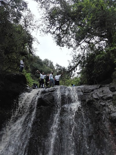 Photos of Menagesha National Forest