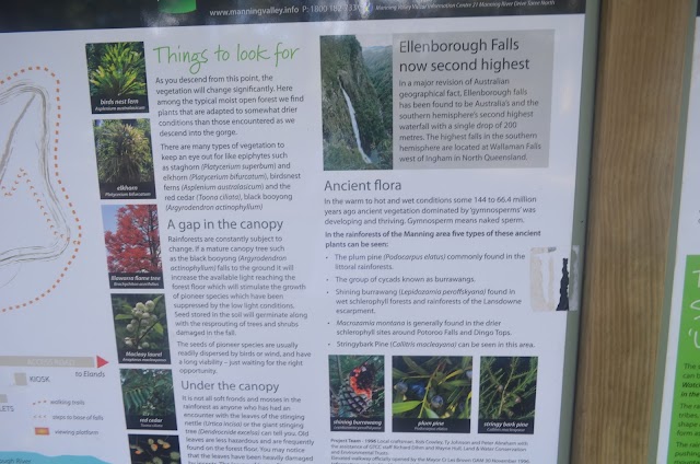 Ellenborough Falls