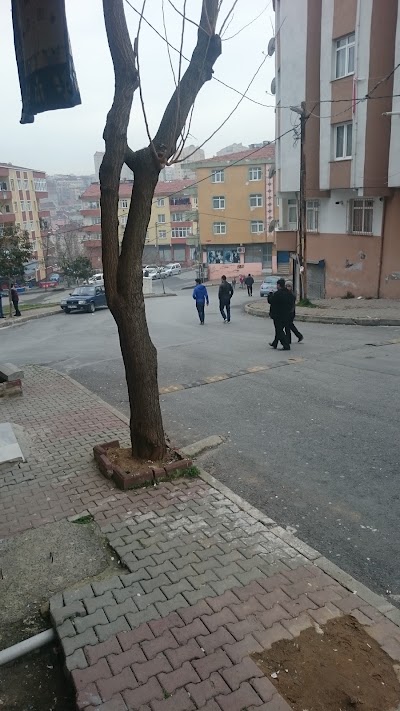 Photos of Eğridere Village Culture and Solidarity Association