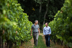 Photo n°34 de Maison Bache-Gabrielsen à Cognac (Magasin de vins et spiritueux)