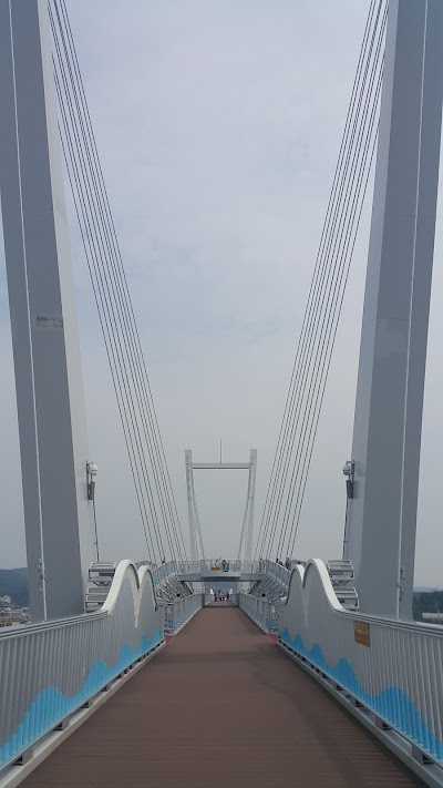 Photos of 백사장항