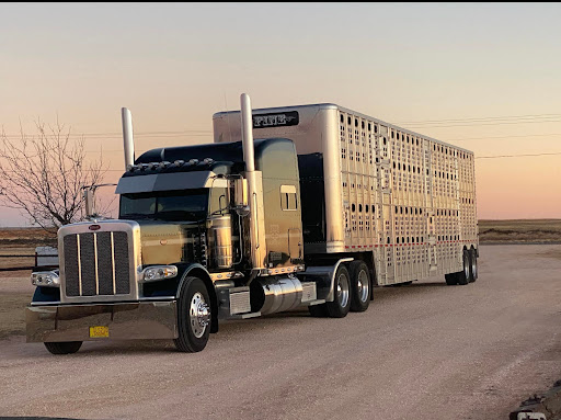 Fine Cattle Company