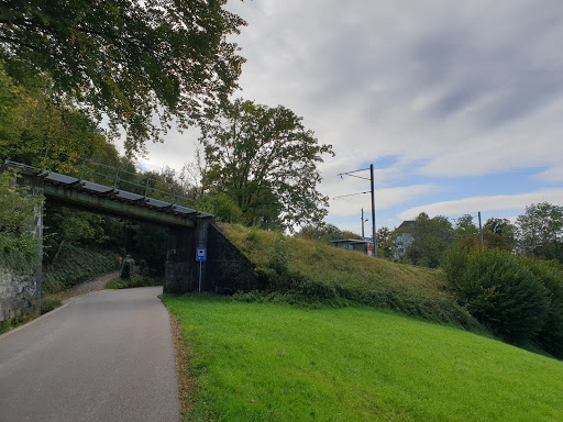 Wartensee - Visual