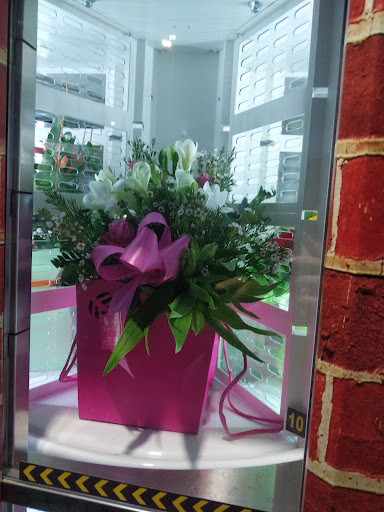 Flora Folies di Traverso Marco Gallery - Italy