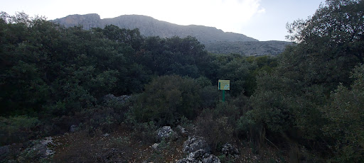 Bosque de Encinas