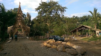 Photos of Orangutan Haven