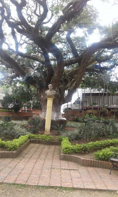 Photos of Joaquin Gomez Otero Park