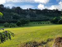 National Tropical Botanical Garden Kauai Tripadvisor